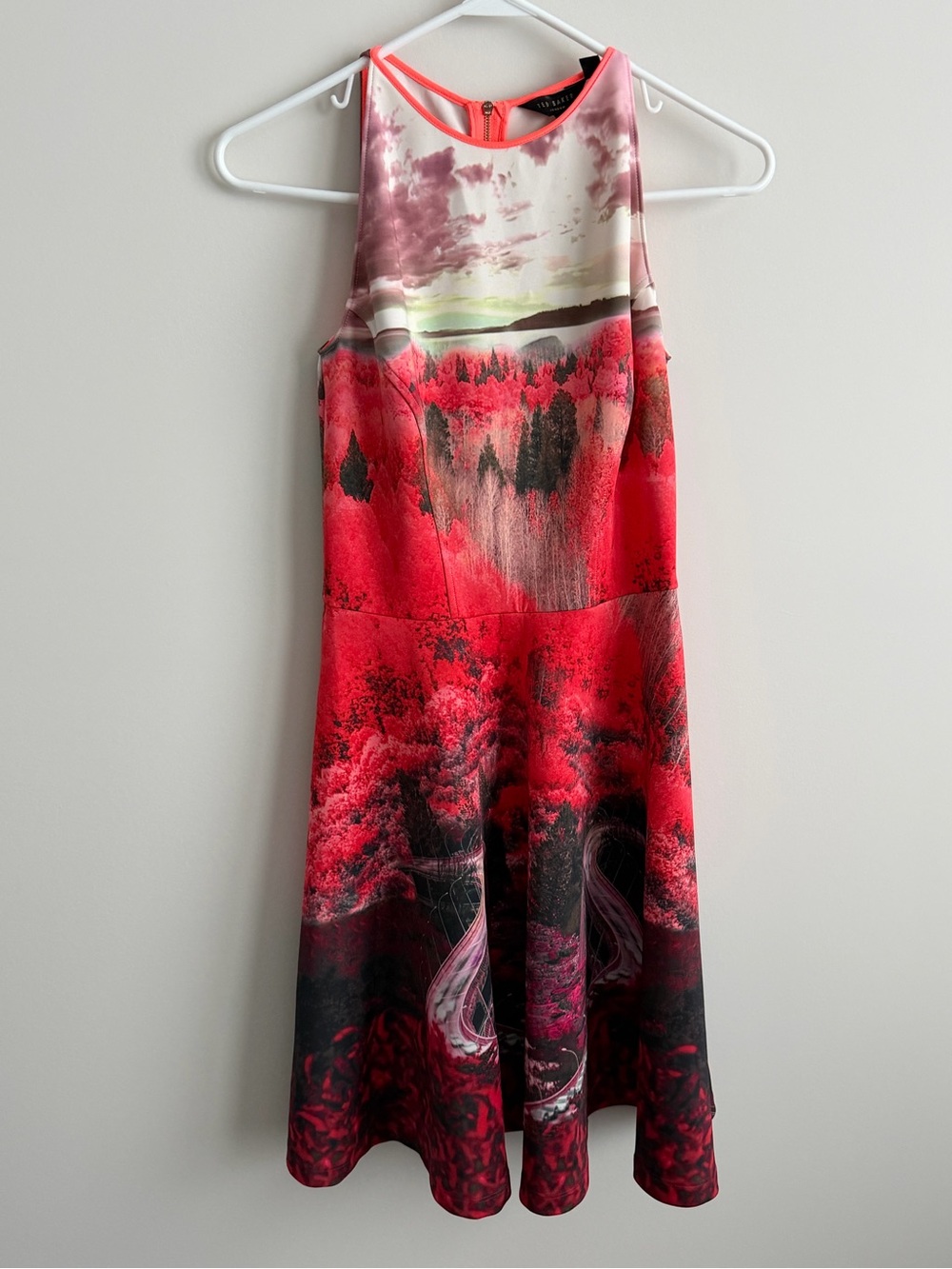 Ted Baker Road to Nowhere Fit Flare Dress US 4 Sleeveless Floral